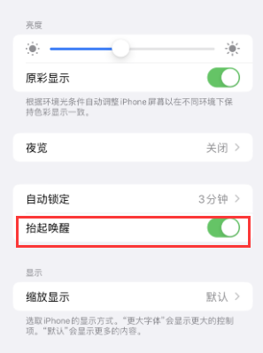 杨浦苹果授权维修站分享iPhone轻点无法唤醒怎么办