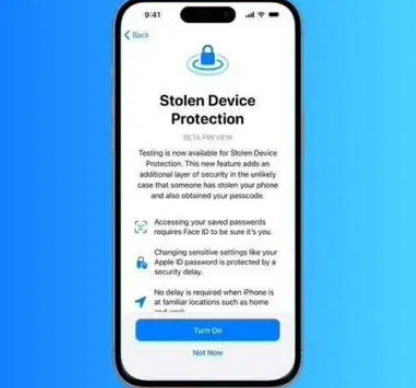 杨浦苹果授权维修店分享被盗设备保护功能开启方法 