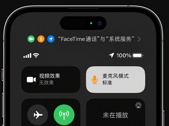 杨浦苹果授权维修网点分享iPhone在通话时让你的声音更清晰 