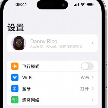 杨浦appleID维修服务iPhone设置中Apple ID显示为灰色无法使用