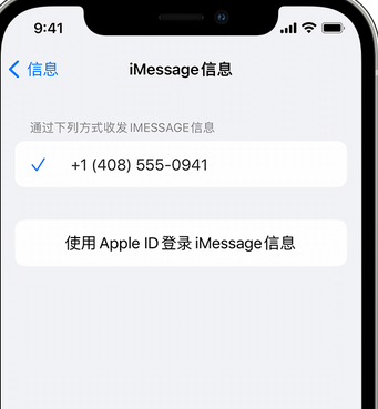 杨浦apple维修iPhone上无法正常发送iMessage信息 