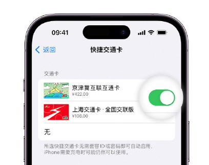 杨浦apple维修点分享iPhone上更换Apple Pay快捷交通卡手绘卡面 