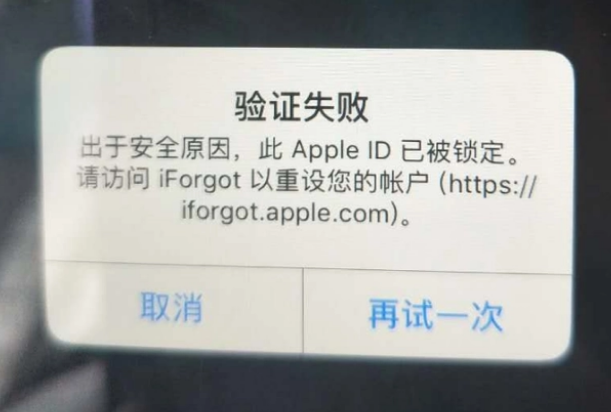 杨浦iPhone维修分享iPhone上正常登录或使用AppleID怎么办 