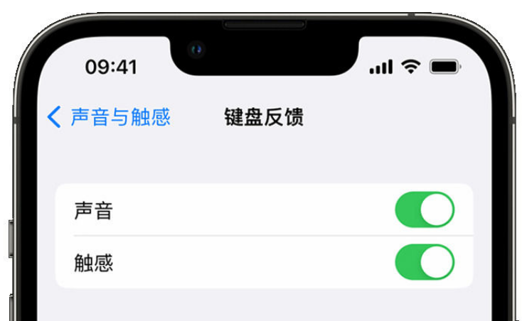 杨浦苹果手机维修分享iPhone 14触感键盘使用方法 