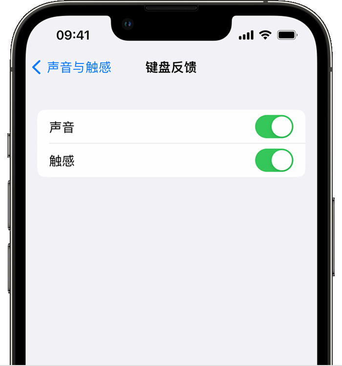 杨浦苹果14维修店分享如何在 iPhone 14 机型中使用触感键盘 