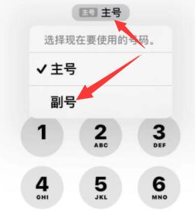 杨浦苹果14维修店分享iPhone 14 Pro Max使用副卡打电话的方法 