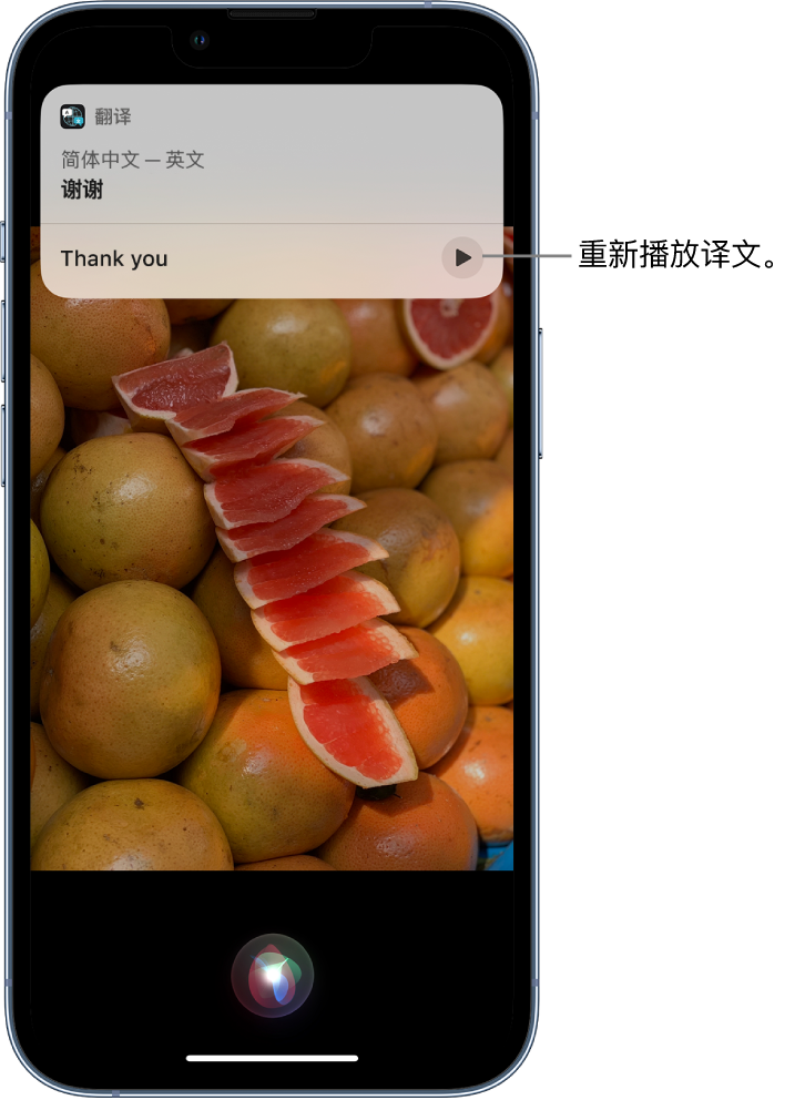 杨浦苹果14维修分享 iPhone 14 机型中使用 Siri：了解 Siri 能帮你做什么 