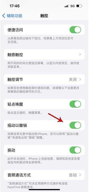 杨浦苹果手机维修分享iPhone手机如何设置摇一摇删除文字 