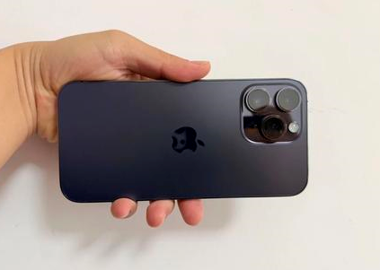 杨浦苹果维修点分享iPhone 14 Pro Max黑屏少见故障盘点 